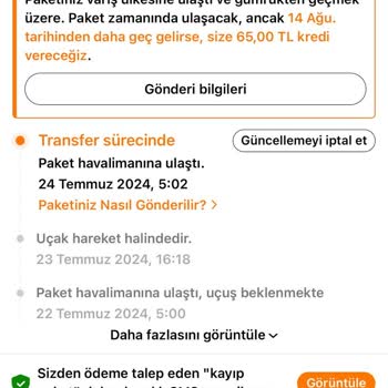 Temu Siparişin Havaalanında Bekliyor: Gümrük Sorunu