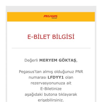 Pegasus Havayolları'nın Beni 40.427 TL Zarara Uğratması