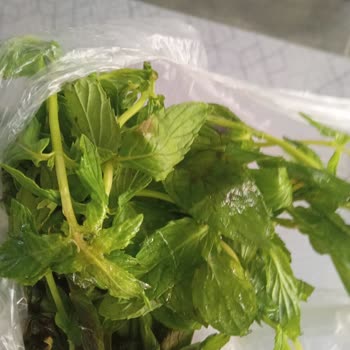 Uğur Buzdolabı Soğutma Ve Aksesuar Arızası