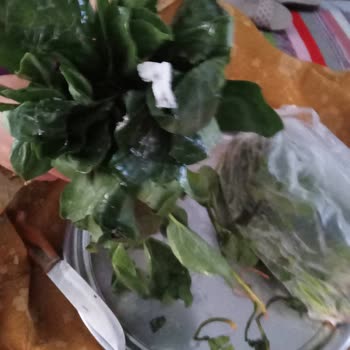 Uğur Buzdolabı Soğutma Ve Aksesuar Arızası