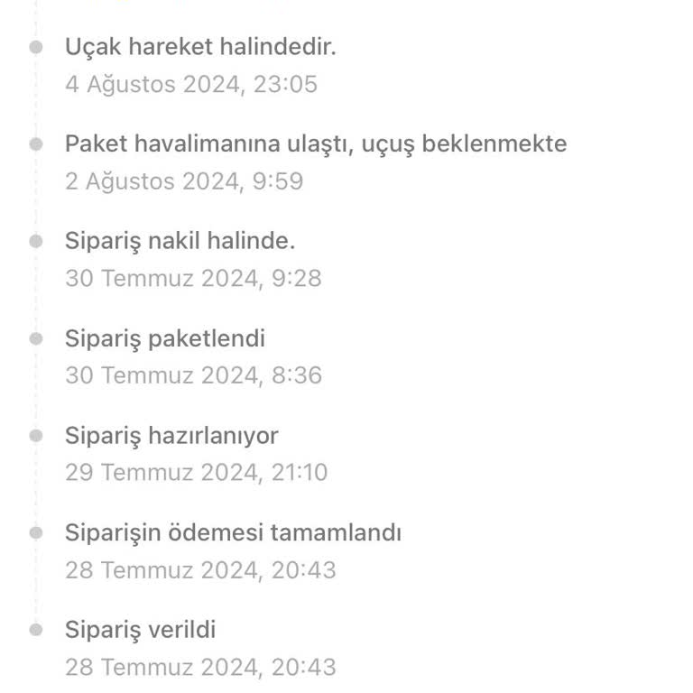 Temu Gümrükte Uzun Bekleme