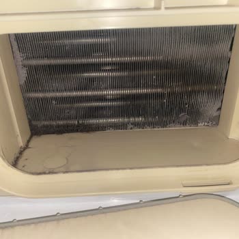 Hoover Kurutma Makinesi Gürültü Ve Filtre Sorunu