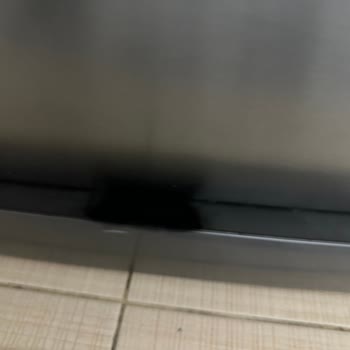 Beko Bulaşık Makinesinde Siyah Büyük Ve Artan Lekeler