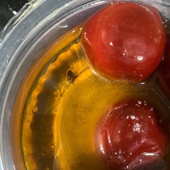 Arşela Yemeksepeti Siparişinde Beklenmedik Sürpriz