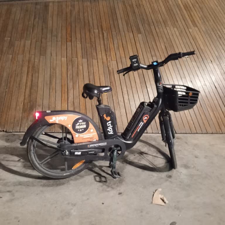 Tripy Mobility Tripy Bisikleti Durduramıyorum.