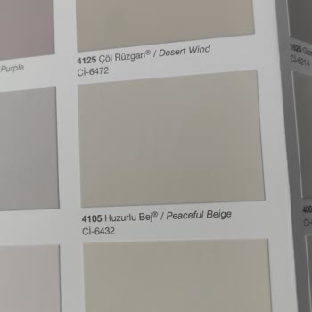 Polisan Boya Katalogdaki Renk İle Aynı Çıkmadı