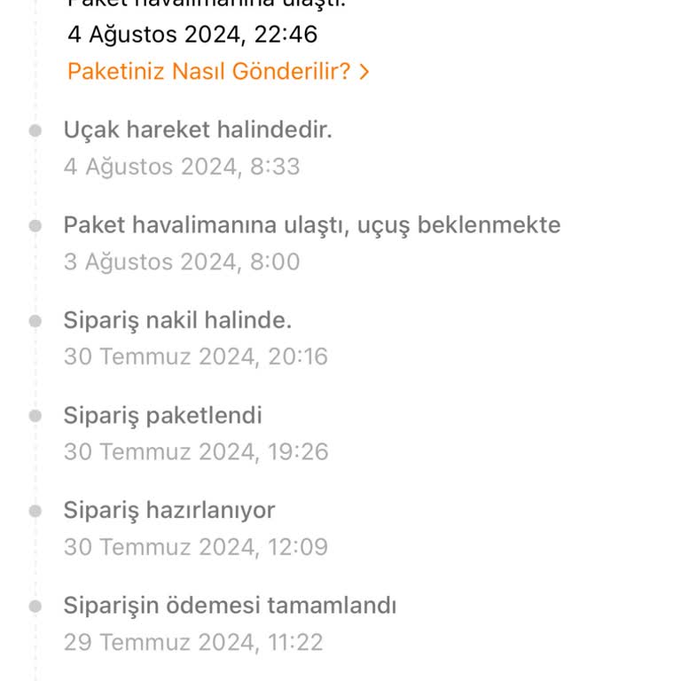 Temu Siparişimde Güncelleme Yok