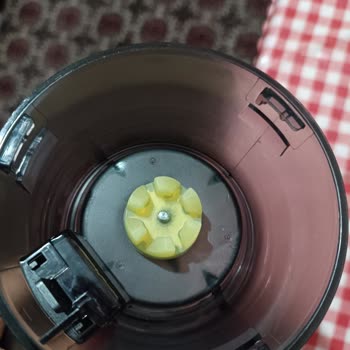 Schafer'ın Büyük Ayıbı