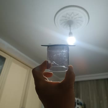 Schafer'ın Büyük Ayıbı