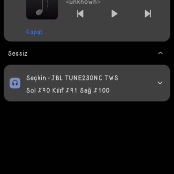 JBL Tune 230 Nc Şarj Problemi.