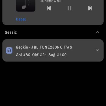 JBL Tune 230 Nc Şarj Problemi.