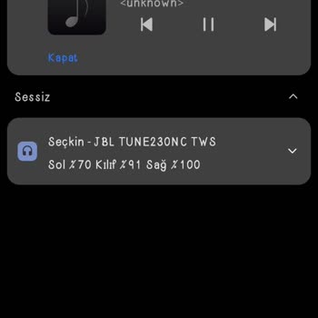 JBL Tune 230 Nc Şarj Problemi.