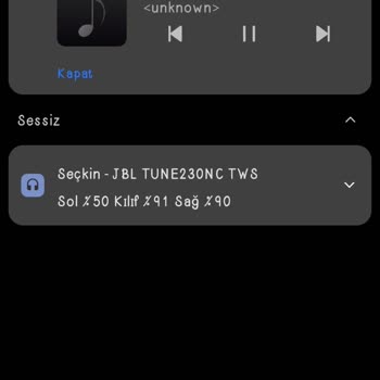 JBL Tune 230 Nc Şarj Problemi.