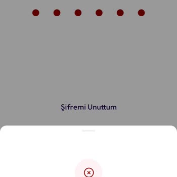 Param Hesabıma Erişemiyorum Ve Destek Alamıyorum