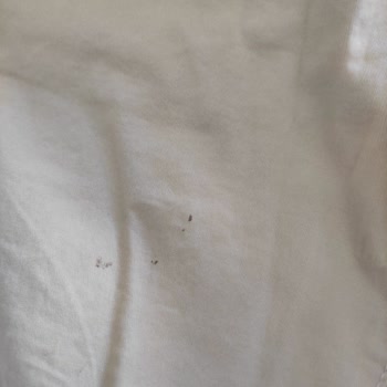Zara Ayıplı Ürünü İade Almıyor