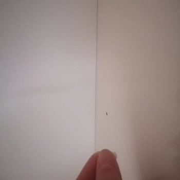 Bolu Ergül Mobilya Kusurlu Mal Satışı Ve Satış Sonrası İlgisizliği.