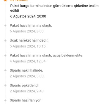 MNG Kargo Temu Gümrük Bekleme Sorunu