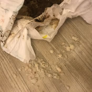 Prima Premium Care Bezi Kalitesizliği Ve Jel Tanecikler Saçılması