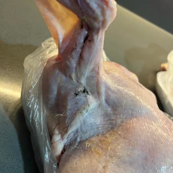 Anpa Gross Marketin Bozuk Tavukları