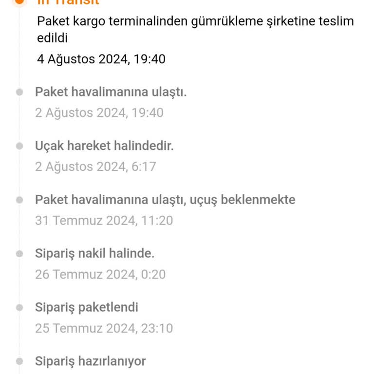 Gümrüğe Takılan Temu Siparişleri!