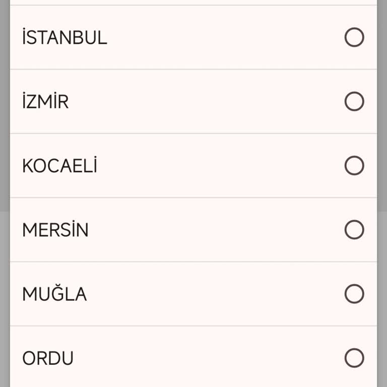 Suzuki Motor Servis Yetersizliği