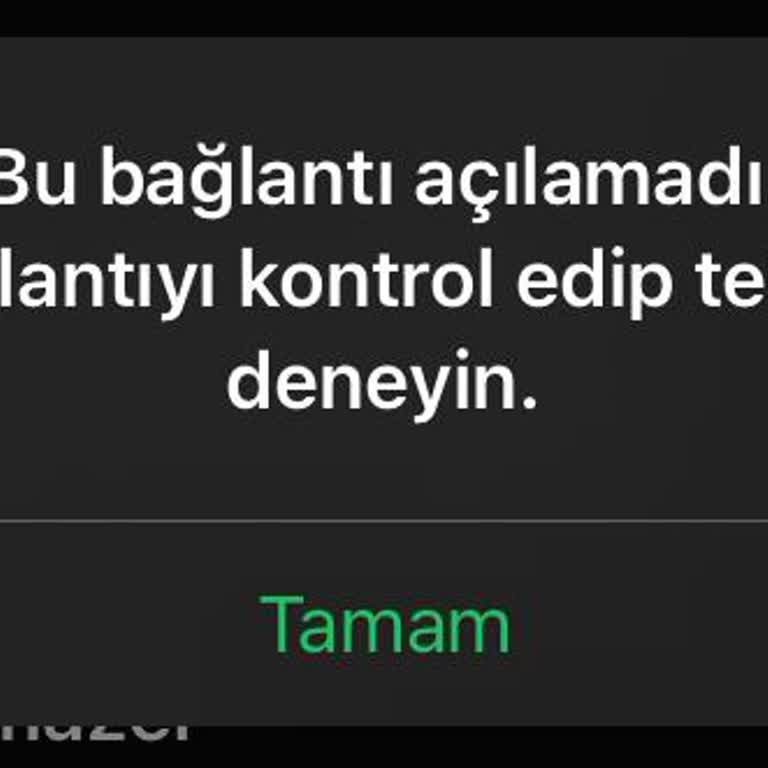 CEO Ceylan Otantik WhatsApp Link Hatası