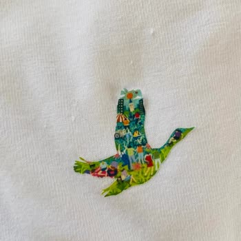 Gardrops Uygulamasında Alıcı Hakları Yetersizliği!