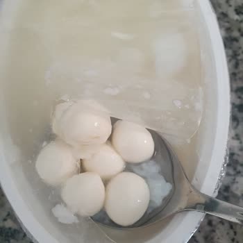 Ekici Peynir Ekici Firmasının İlgisizliği