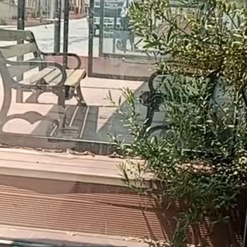 Allinmobi Mağduruyum!