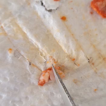 Maret Sucuk İçindeki Yabancı Parçalar