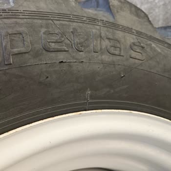 Petlas Malının Arkasında Dur.