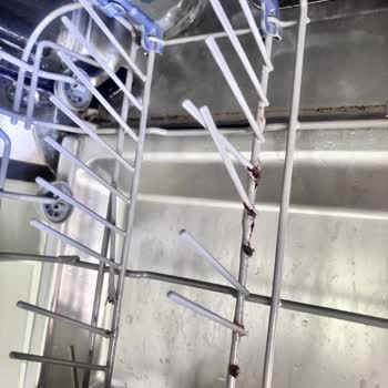 Teka Bulaşık Makinesi Telleri Paslanıp Kopuyor