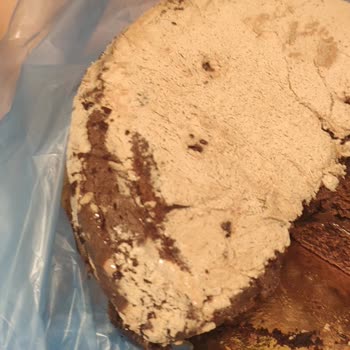 Mado'dan Aldığım Pasta Bozuk Çıktı.