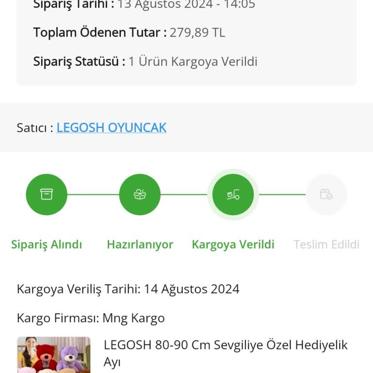 Çiçek Sepeti Problem Çözememe, Çözmek İstememe
