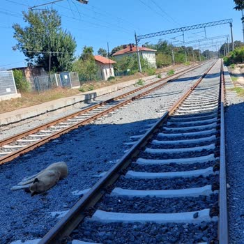 TCDD Yazıklar Olsun Bu Nasıl Ulaşım