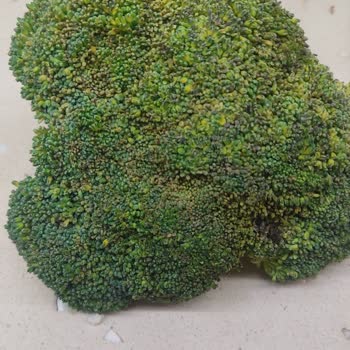 Kusurlu Bosch Buzdolabı Hk. Da