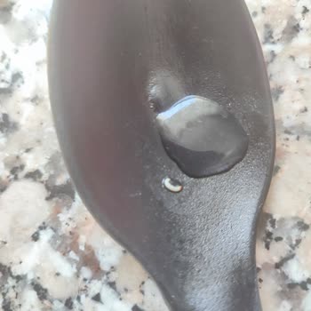 Proteinli Filiz Makarna, Her Şey Bizim İçin
