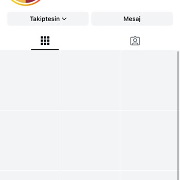 Instagram Profiller Ve Kendi Profilim Görüntülenemiyor