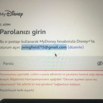 BaytPin Bayt Pin Disney Umursamazlığı