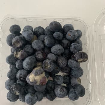 Migros Bayat Küflü Ürün