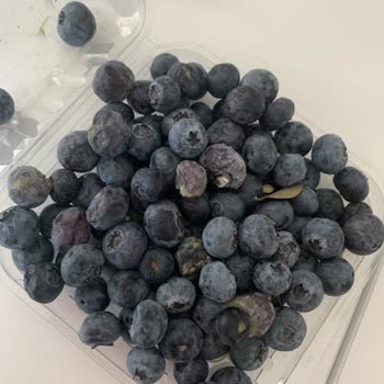 Migros Bayat Küflü Ürün