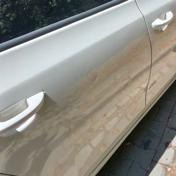 Rastgele Bırakılan Martı Scooter