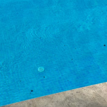 Blue Dreams Resort Bodrum'da Hayal Kırıklığı: 5 Yıldızlı Otel Beklentileri Karşılamadı