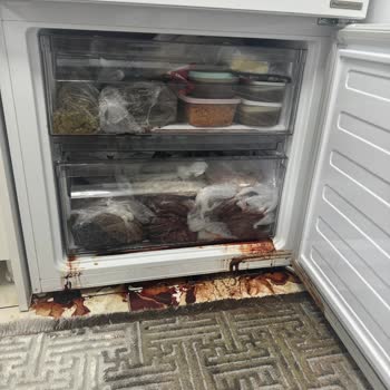 Arçelik Buzdolabı Kapı Lastiği Sorunu ve Maddi Zarar