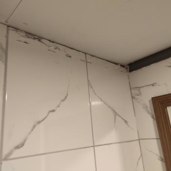 Palmira Hotel Kuşadası Palmira Beach Otel Kuşadası