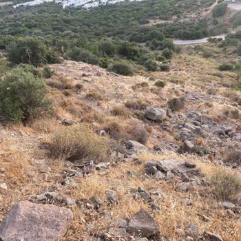 Citroen Ami Araç Güvenliksiz Emniyet Kemeri Açılması