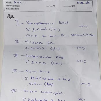 İstanbul Üniversitesi Veterinerlik Fakültesi Dahiliyeci Yüzünden Kedim Öldü