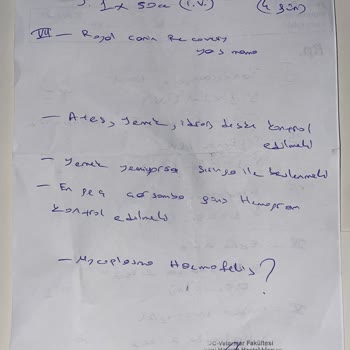 İstanbul Üniversitesi Veterinerlik Fakültesi Dahiliyeci Yüzünden Kedim Öldü