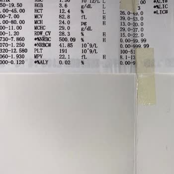 İstanbul Üniversitesi Veterinerlik Fakültesi Dahiliyeci Yüzünden Kedim Öldü