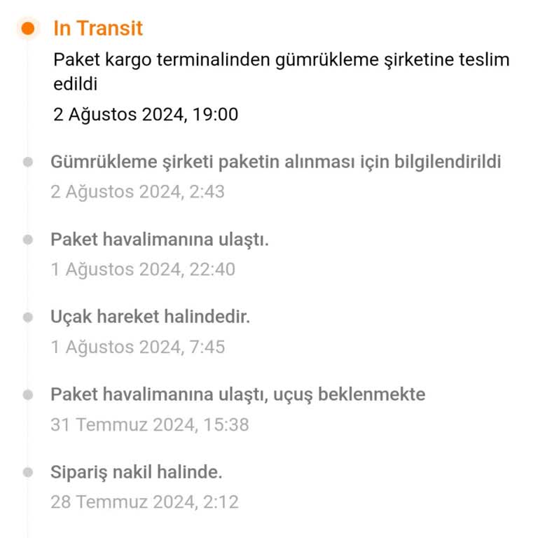 Temu Sipariş Gümrük Aşaması